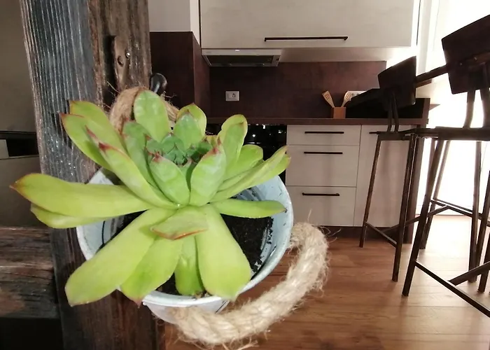 Kiko Apartment *
